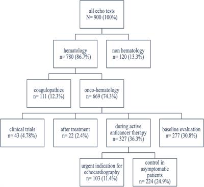 Characteristics of patients with newly diagnosed hematological malignancies referred for echocardiography